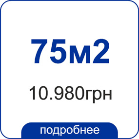 343